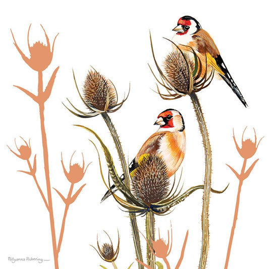 Countryside Blank Card - Goldfinch