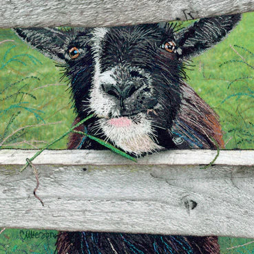 'Happy Goat' Greetings Card