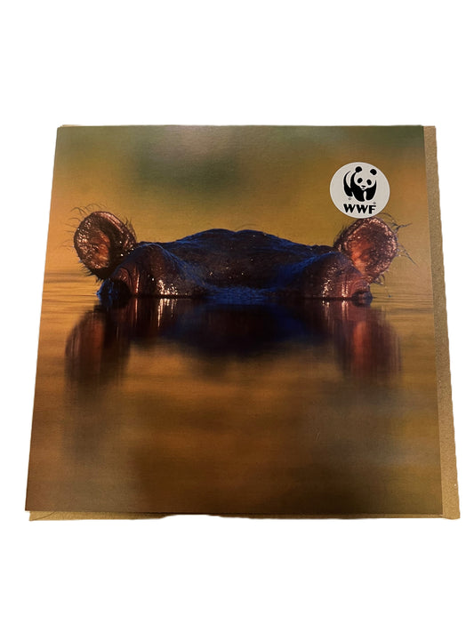 Hippopotamus WWF Greetings Card