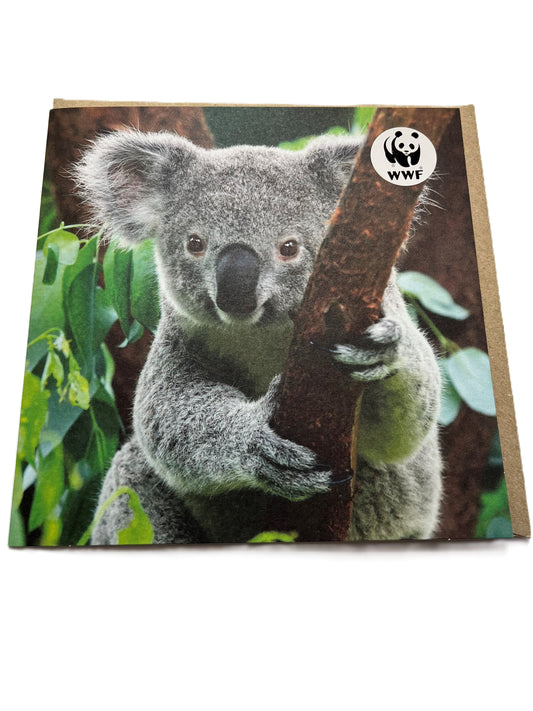 Koala Bear WWF Greetings Card