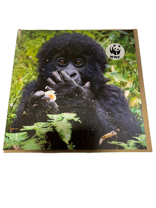 Mountain Gorilla WWF Greetings Card