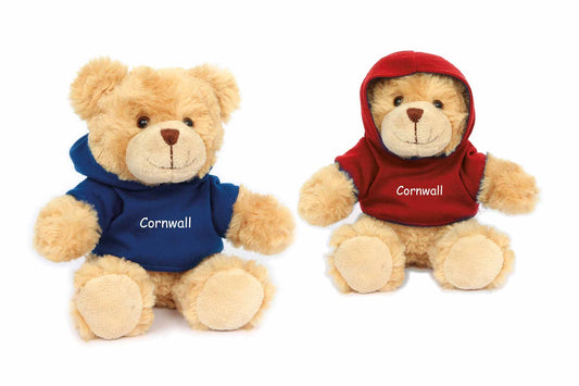 Soft Teddy & Hoodie