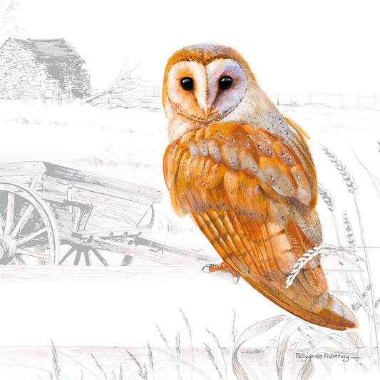 Countryside Blank Card - Owl