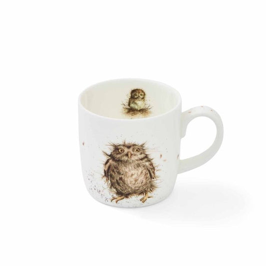 Royal Worcester, Wrendale, ‘Owl What a Hoot’ Mug