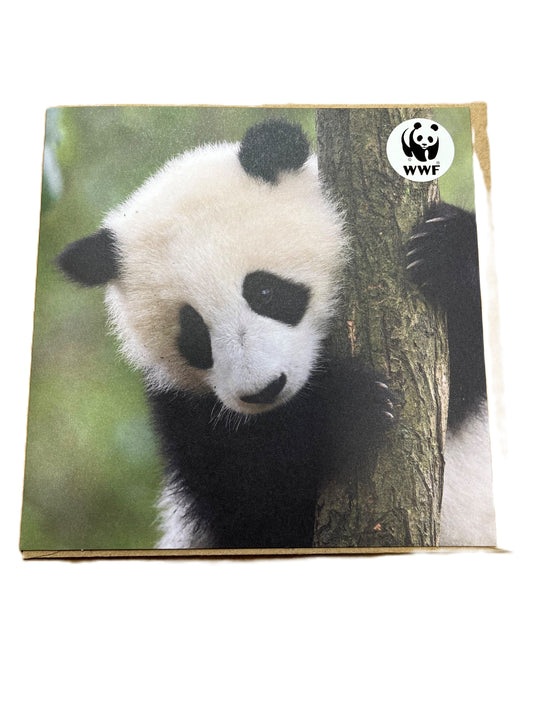 Giant Panda WWF Greetings Card