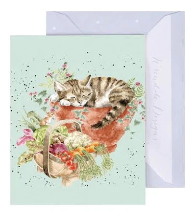 'Purrrfect Day' Miniature Greetings Card