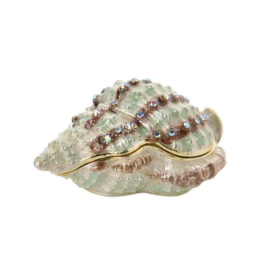 Conch Shell Treasured Trinket Box