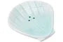 Rockpool Scallop Soap Dish
