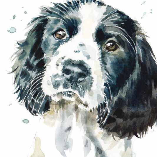 'Spaniel Puppy Smudge’ Puppy Dog Eyes Greetings Card