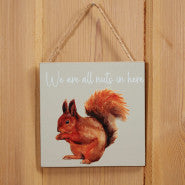 'We are all nuts in here' Squirrel Humour Plaque