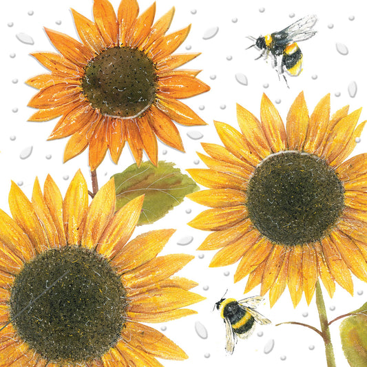 Beautiful Blooms Sunflowers