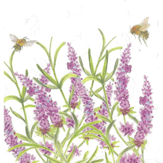 “Bee-tanical, Lavender” Greetings Card