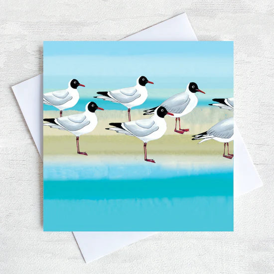 “Black Headed Gulls” Greetings Card