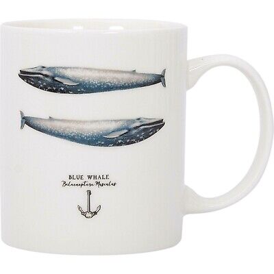 Blue Whale Mug