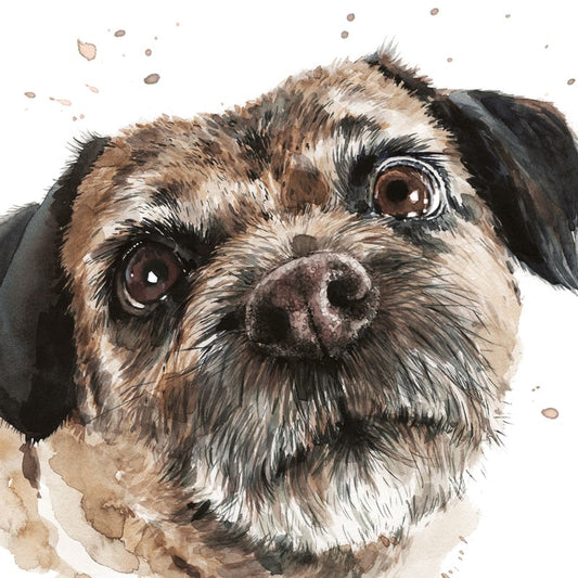 'Border Terrier Buster' Puppy Dog Eyes Greetings Card