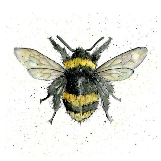 Fur & Feather 'Bumble Bee' Greetings Card by Sarah Boddy