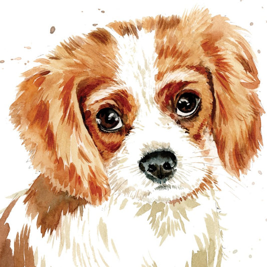 'Charlie the King Cavalier Charles Spaniel Puppy' Greetings Card