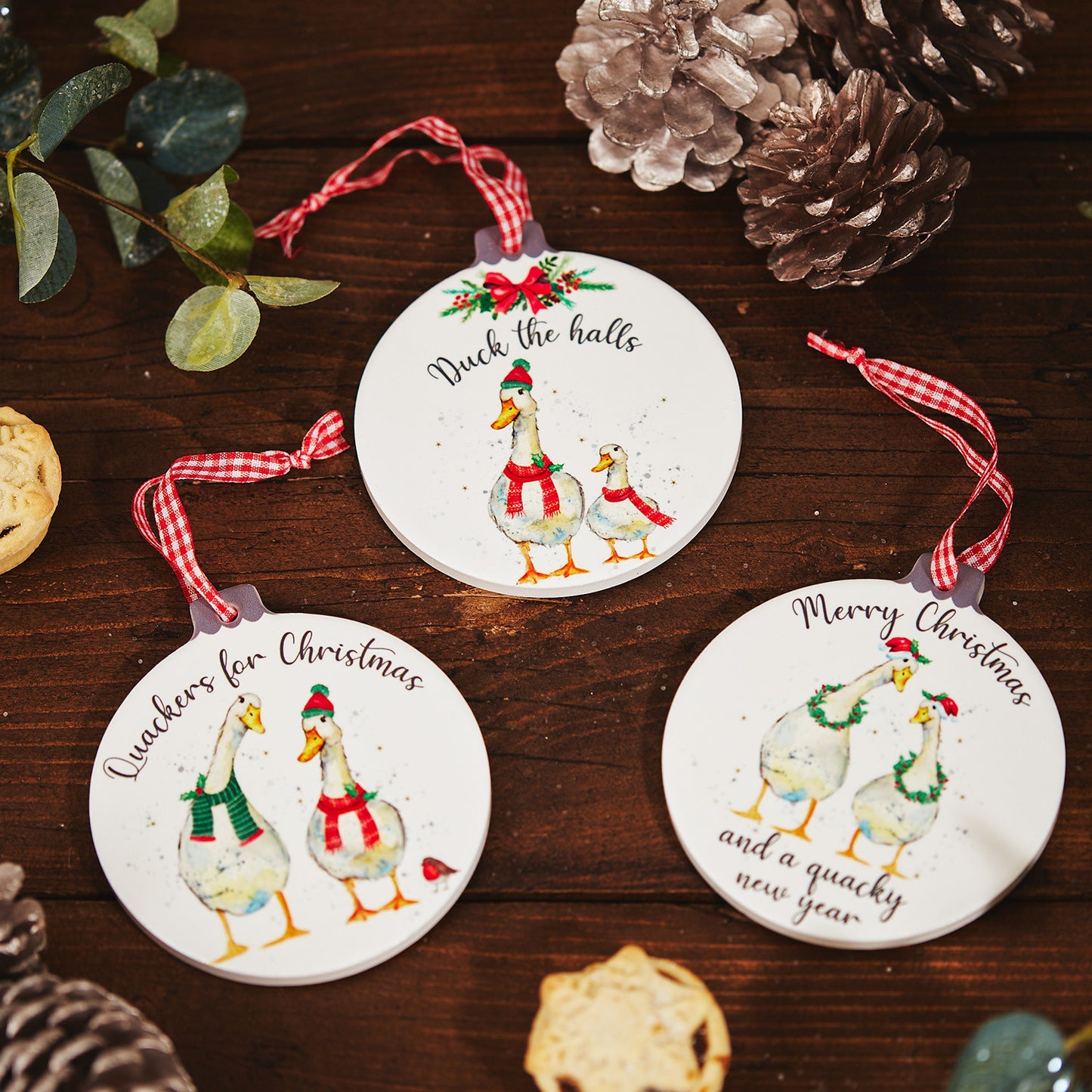 Festive Duck Plaques