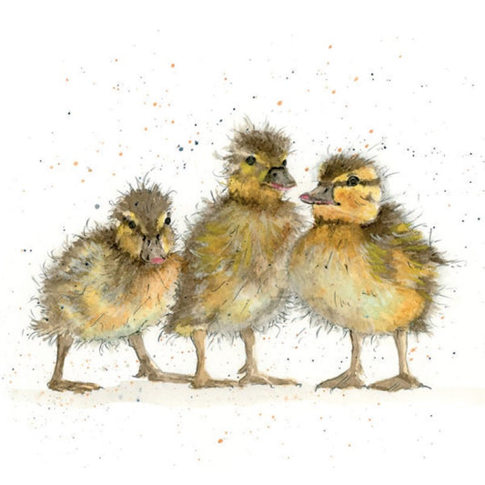 Fur & Feather 'Ducklings' Greetings Card by Sarah Boddy