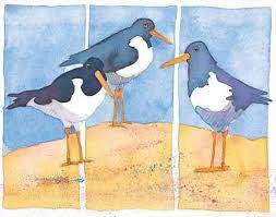'Oystercatchers' Greetings Card by Emma Ball