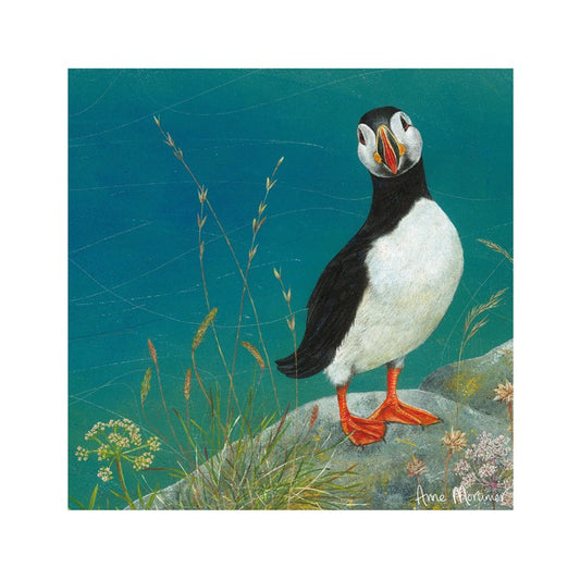 'Puffin' Enchanted Wildlife Greetings Card,