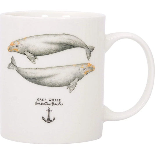 Grey Whale Mug