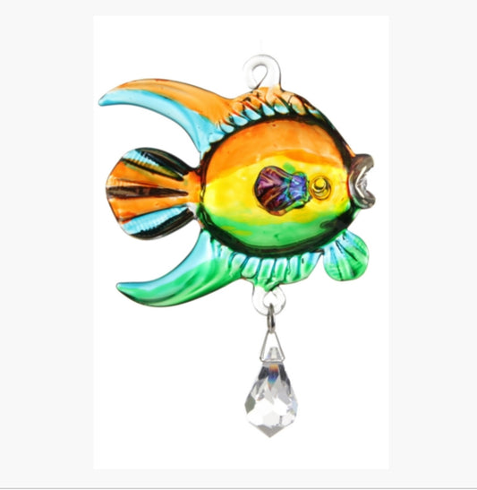 Fantasy Glass Coral Fish, Tropical