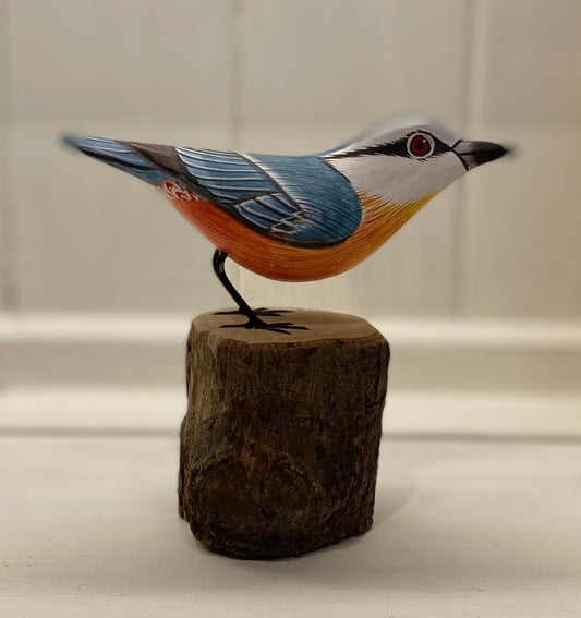 Wooden Nuthatch