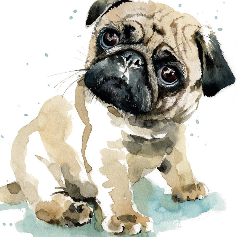 'Pixie the Pug Puppy' Greetings Card