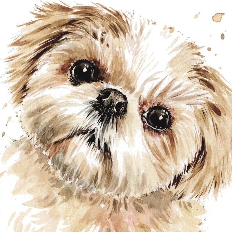 'Shih Tzi Smudge' Puppy Dog eyes Greetings Card