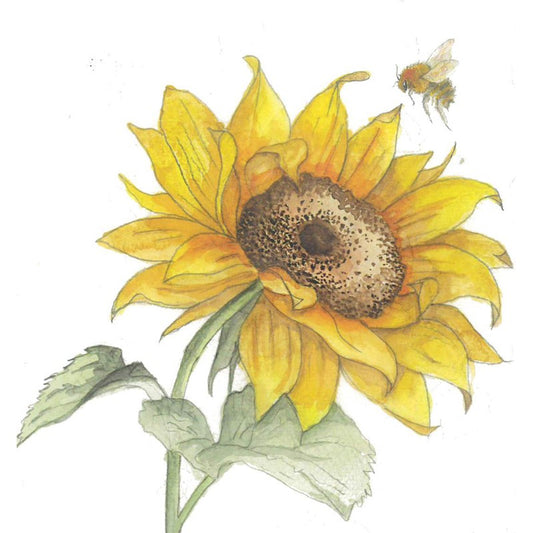 Bee-tanical Sunflower Greetings Card by Sarah Boddy