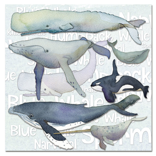'Whales' Sealife Blank Card by Emma Ball